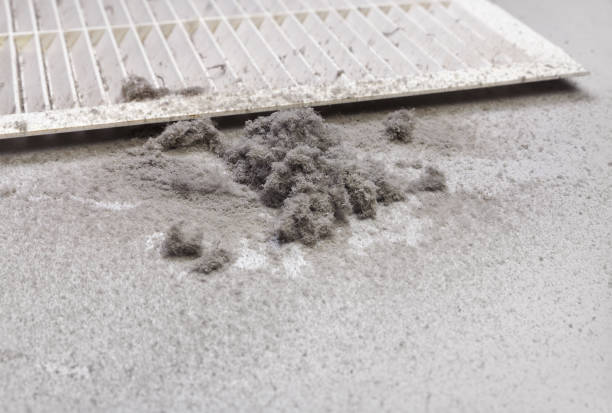 Best Air Vent Cleaning Services  in New Windsor, MD