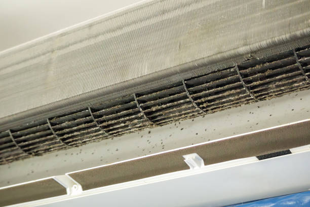 Best Commercial HVAC Duct Cleaning  in New Windsor, MD